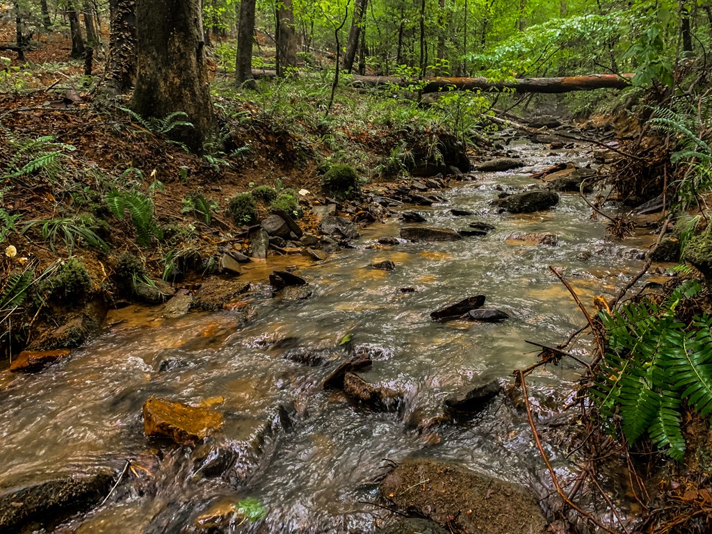 Ellijay