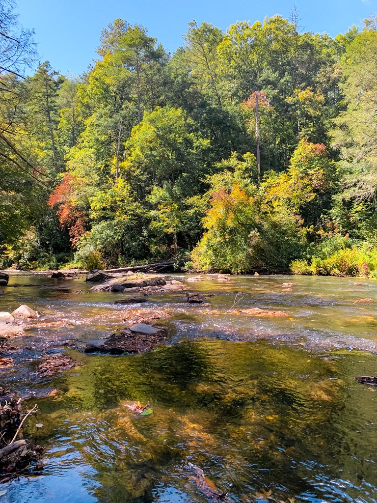 Ellijay