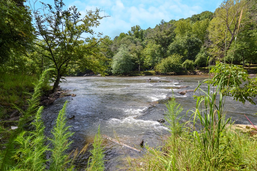 Ellijay