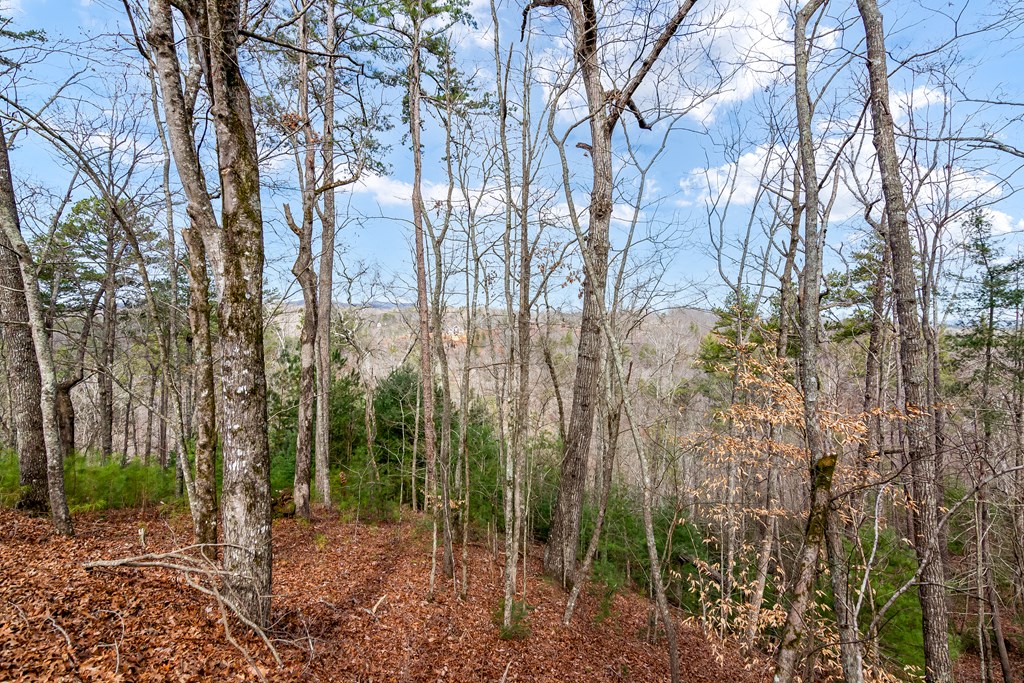 Ellijay
