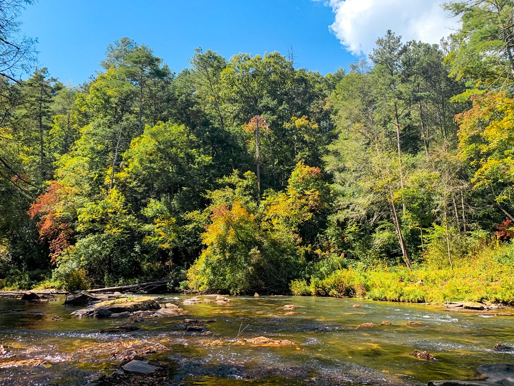 Ellijay