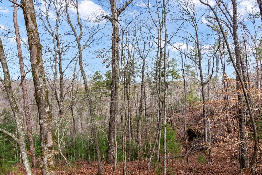 Ellijay