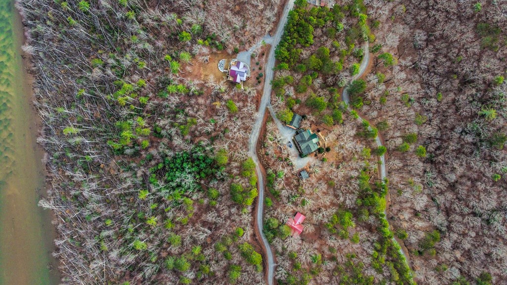 Ellijay