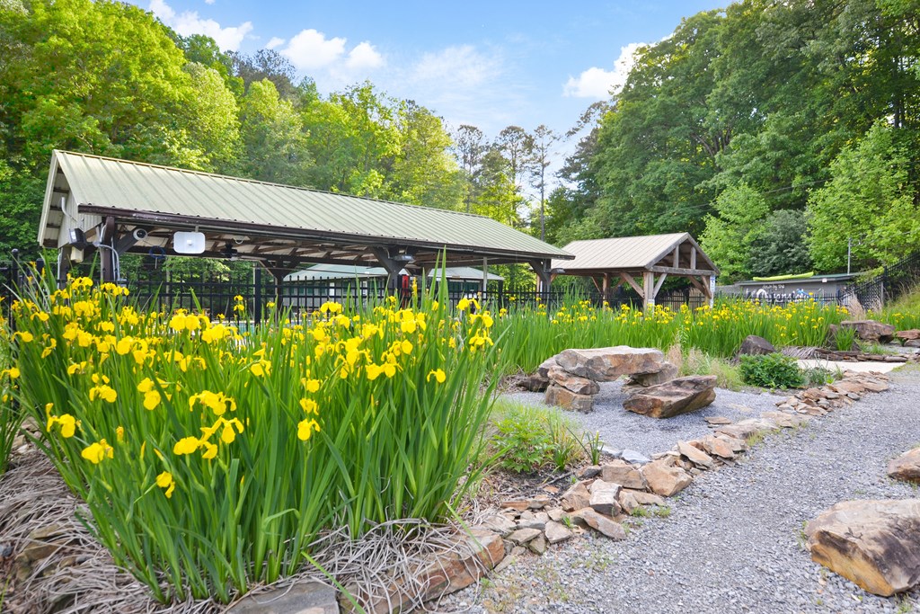 Ellijay