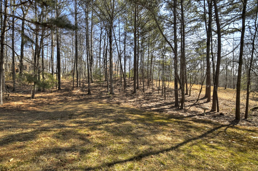 410 Eagle Mountain Drive