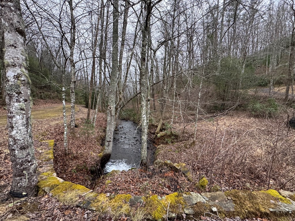 Lot 41 Whisper Woods Road