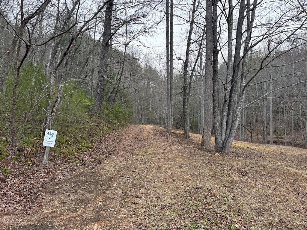Lot 41 Whisper Woods Road