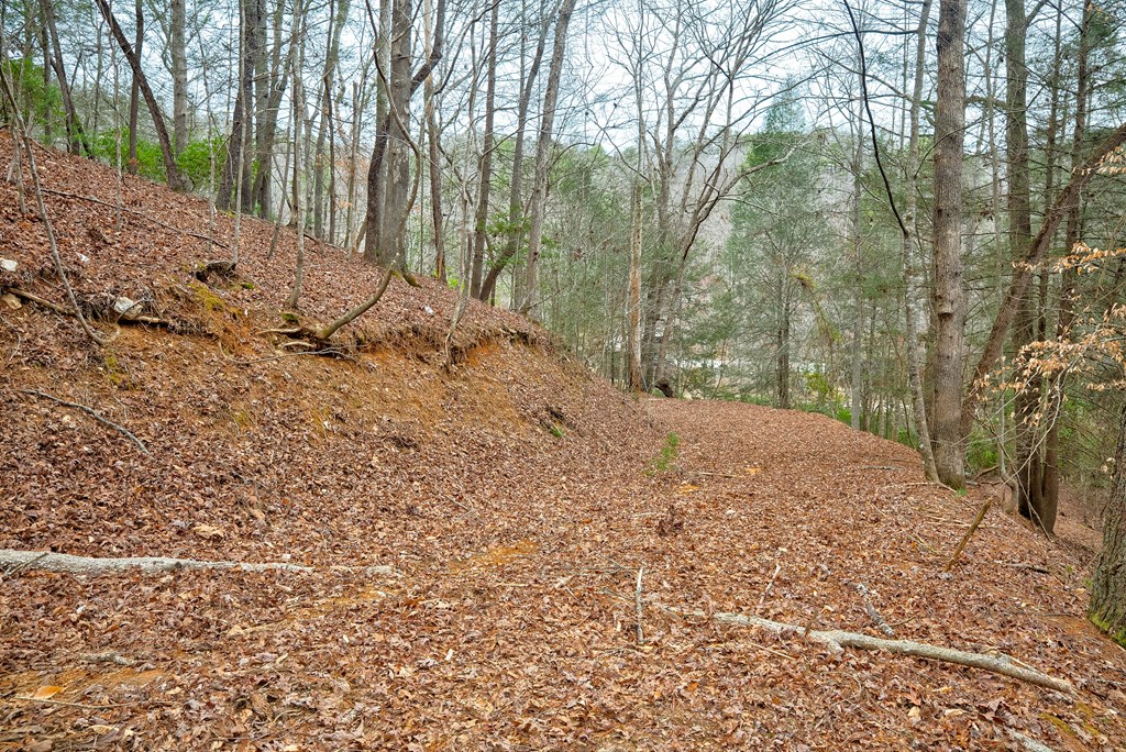 8 acres Brunton Circle