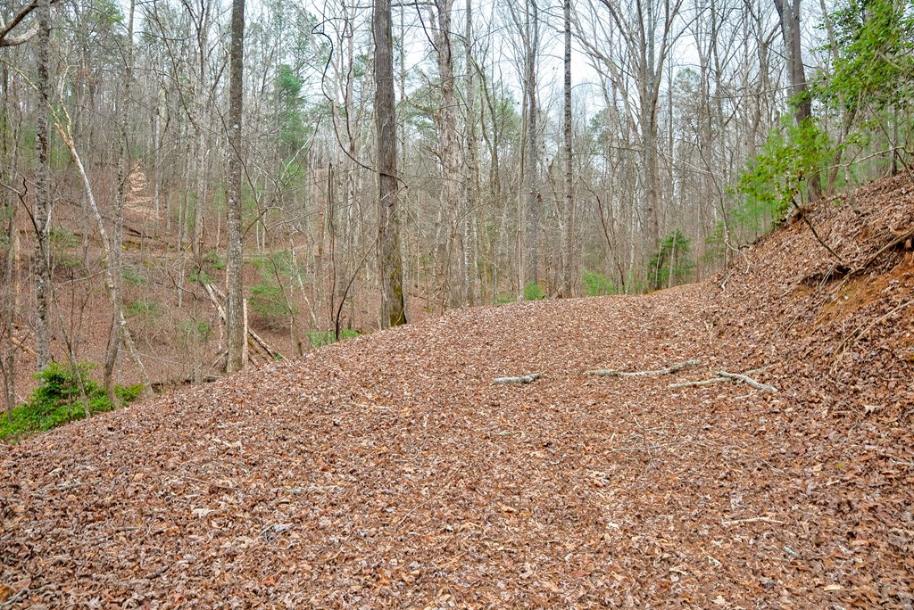8 acres Brunton Circle
