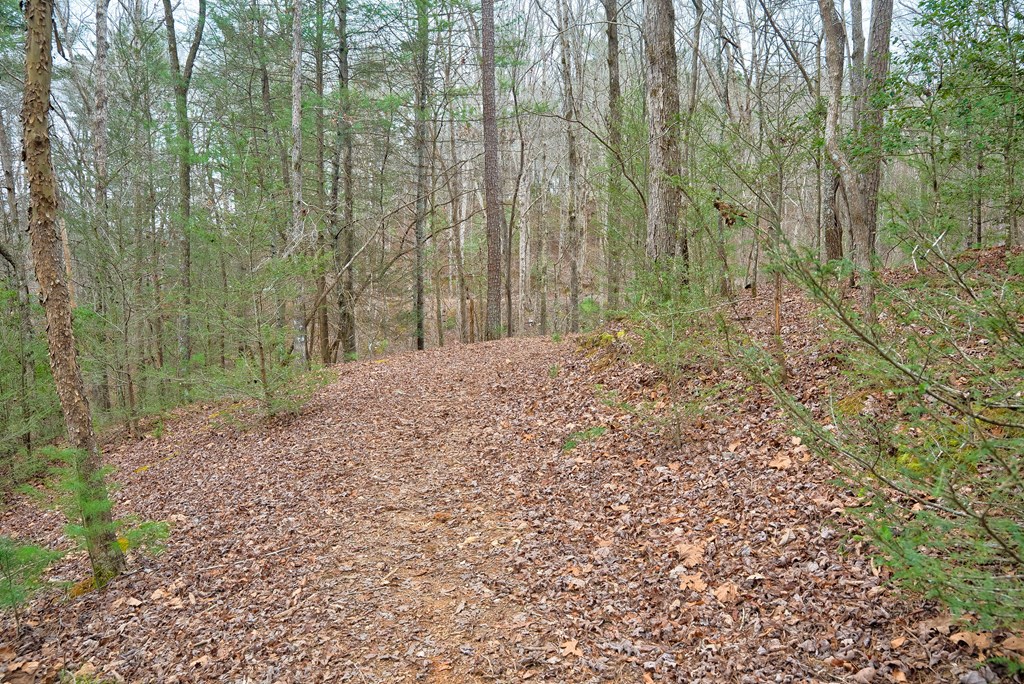 8 acres Brunton Circle
