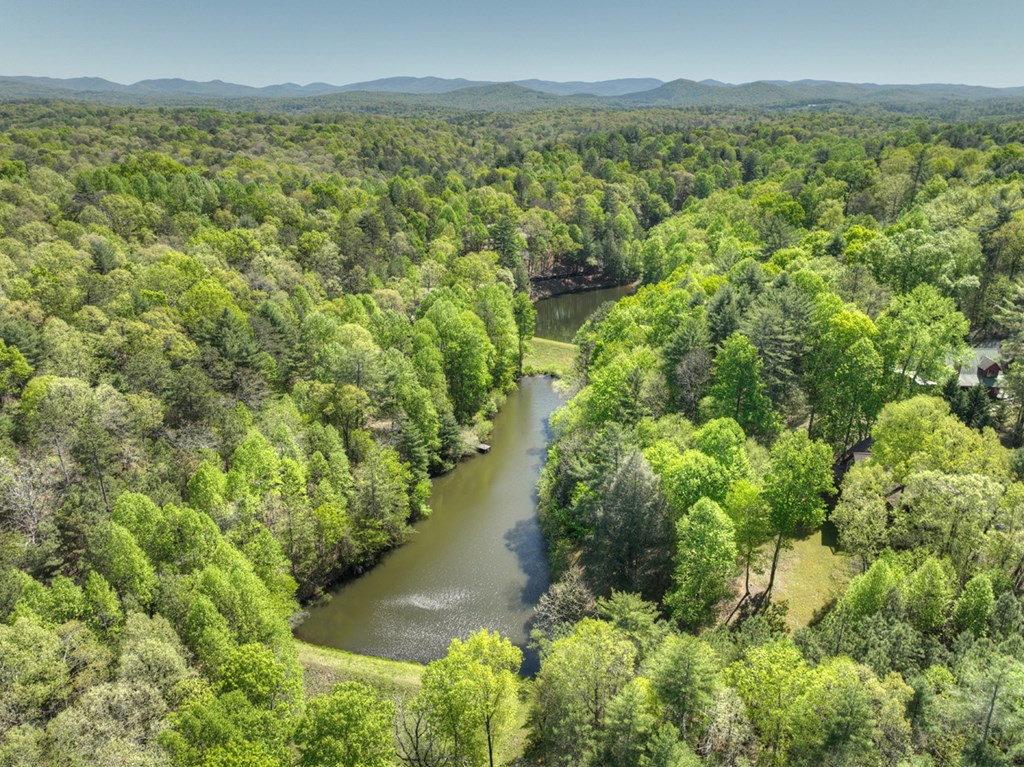 1075 Lazy River Lane