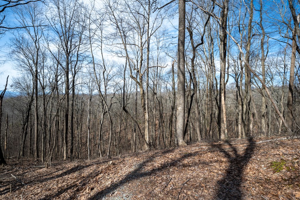 Lot 7R Mountain Falls Loop