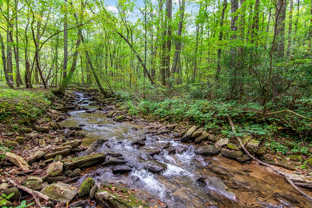 Lot 7R Mountain Falls Loop