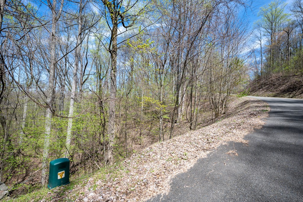 Lot 7R Mountain Falls Loop