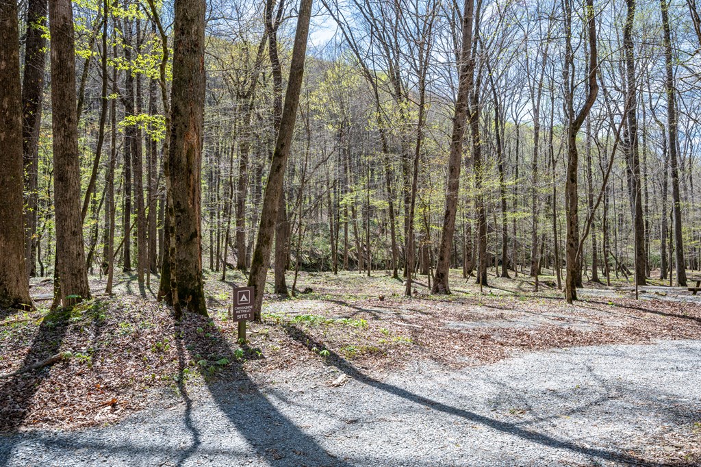 Lot 7R Mountain Falls Loop