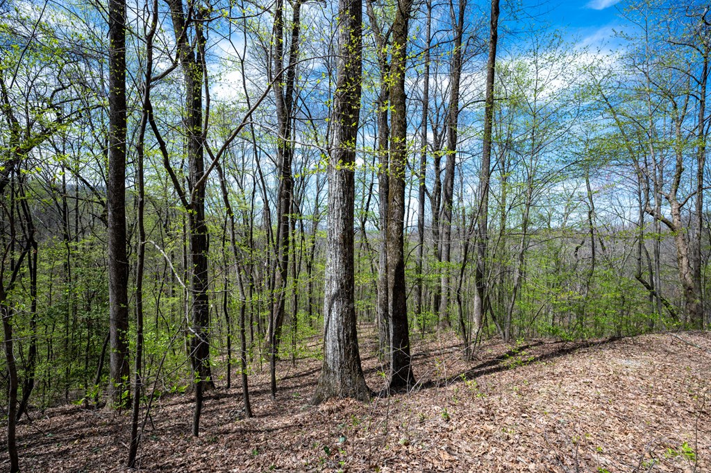 Lot 7R Mountain Falls Loop