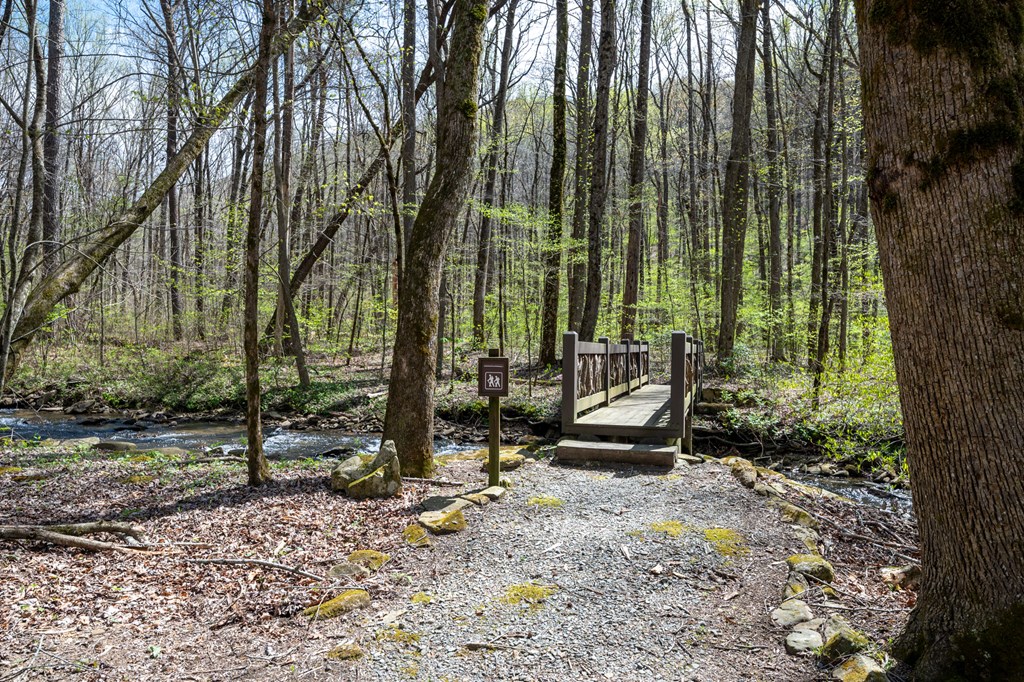 Lot 7R Mountain Falls Loop