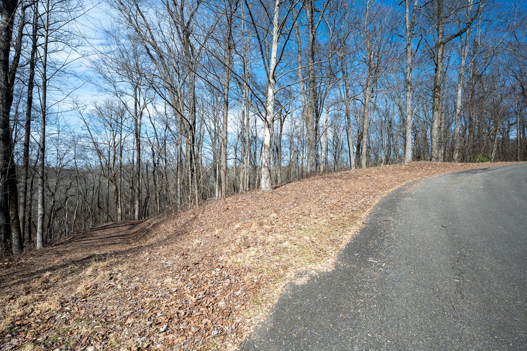 Lot 7R Mountain Falls Loop