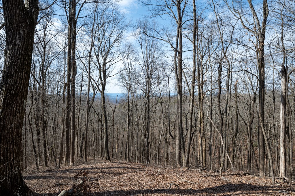 Lot 7R Mountain Falls Loop