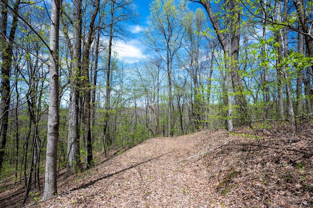 Lot 7R Mountain Falls Loop