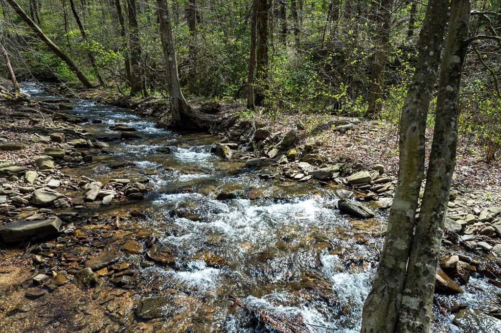 Lot 7R Mountain Falls Loop