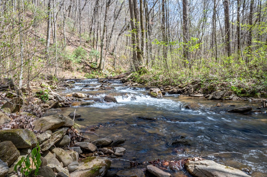 Lot 7R Mountain Falls Loop