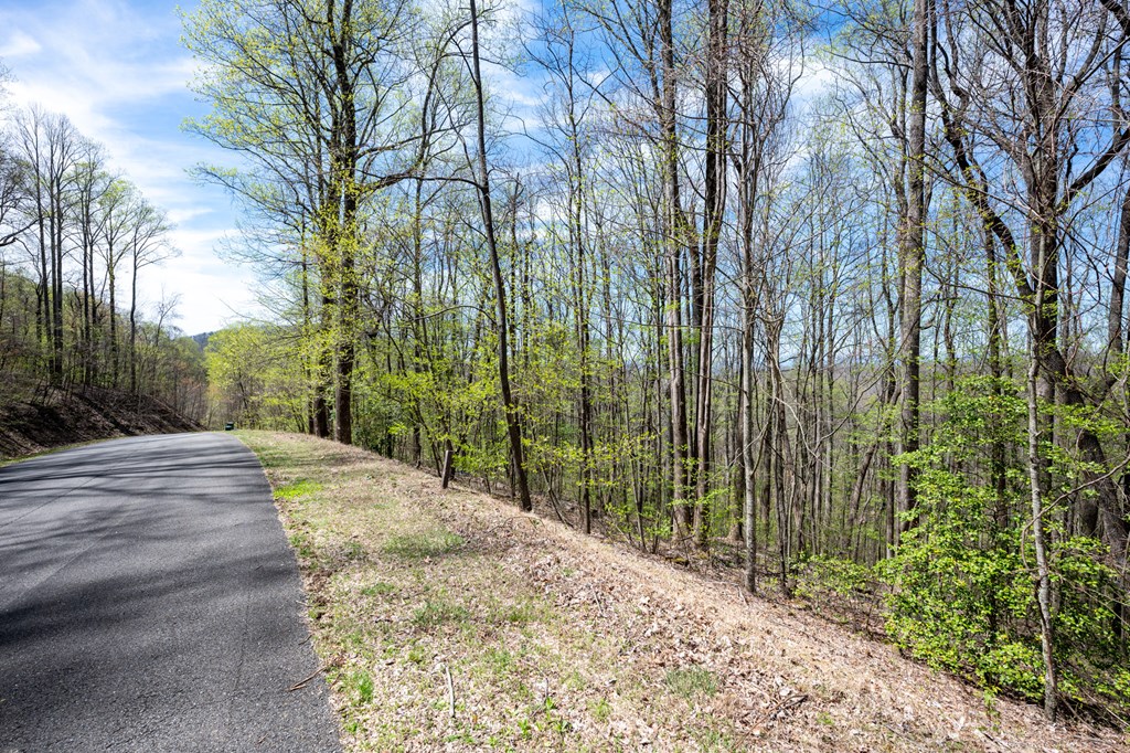 Lot 7R Mountain Falls Loop