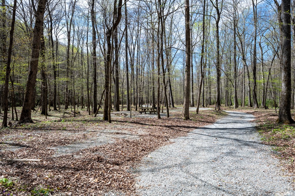 Lot 7R Mountain Falls Loop