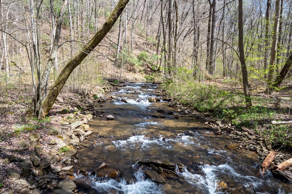 Lot 7R Mountain Falls Loop