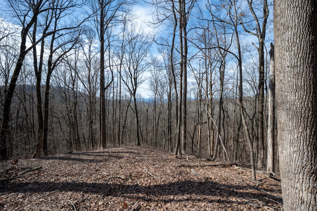 Lot 7R Mountain Falls Loop