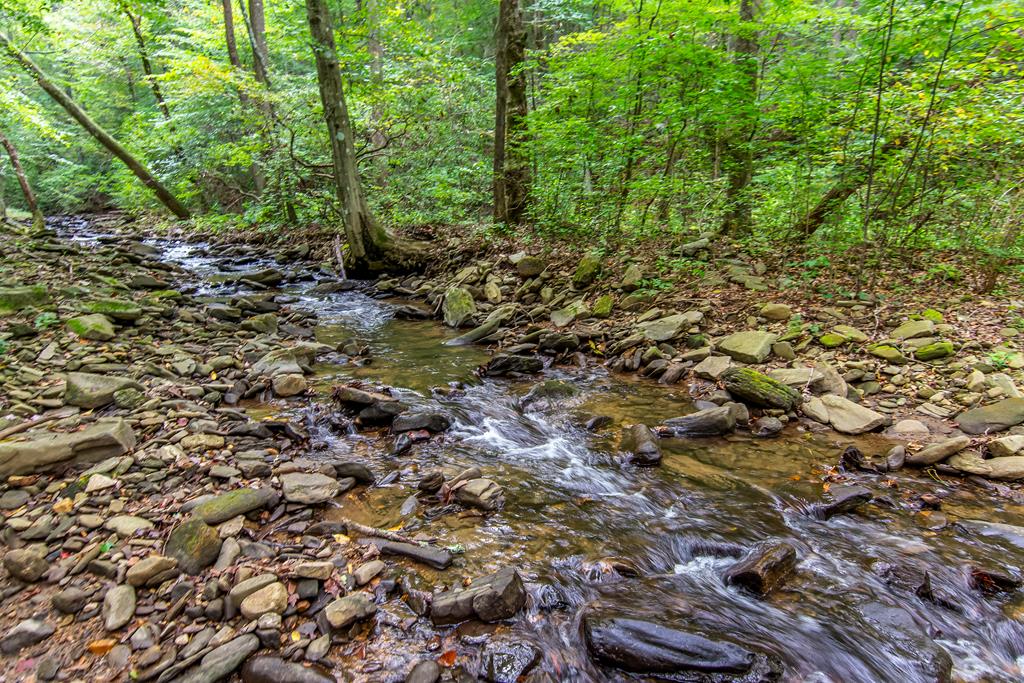 Lot 7R Mountain Falls Loop