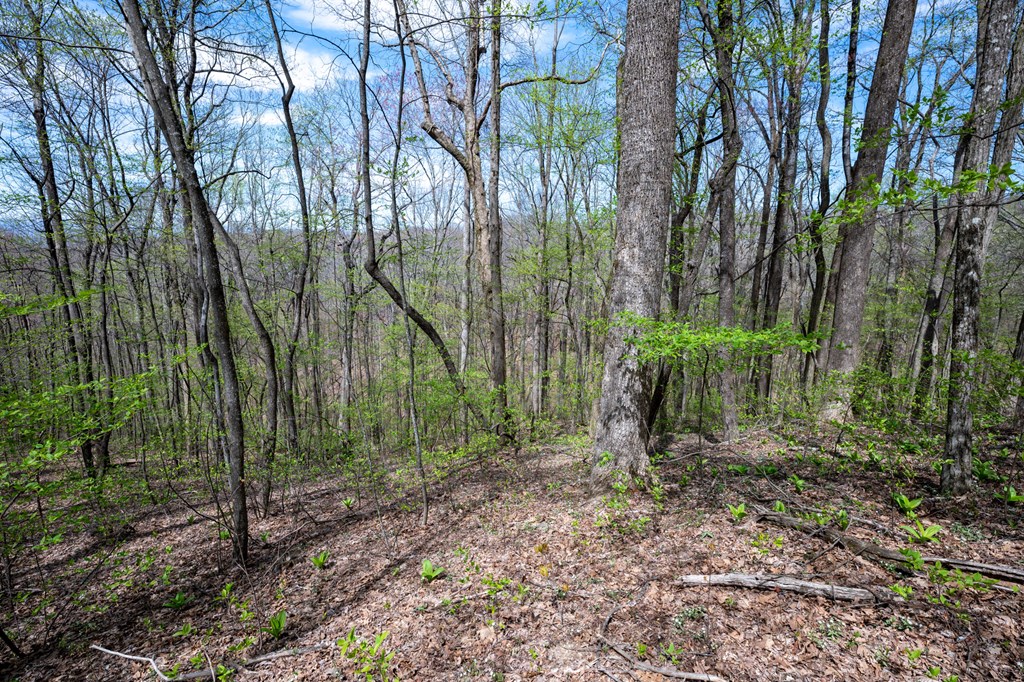 Lot 7R Mountain Falls Loop