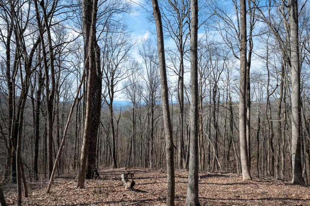 Lot 7R Mountain Falls Loop