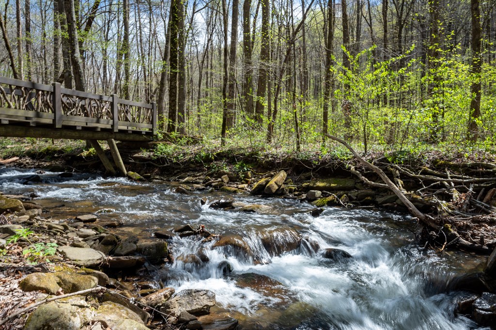 Lot 7R Mountain Falls Loop