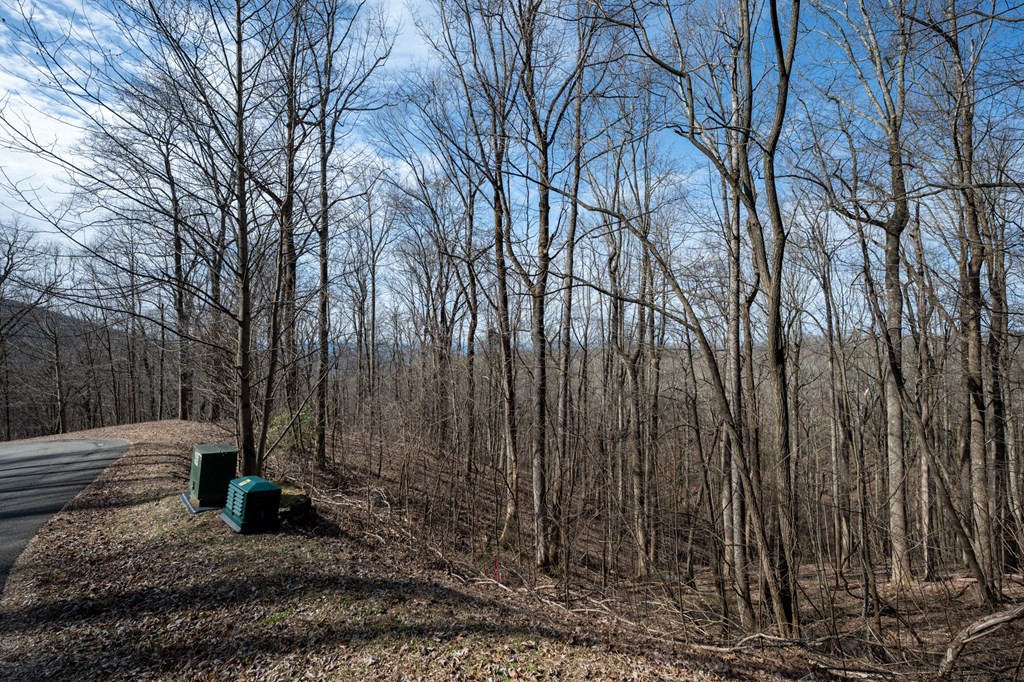 Lot 7R Mountain Falls Loop