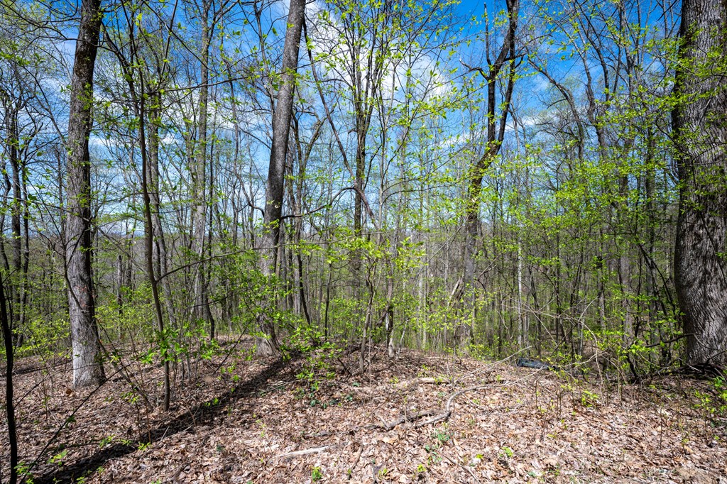 Lot 7R Mountain Falls Loop