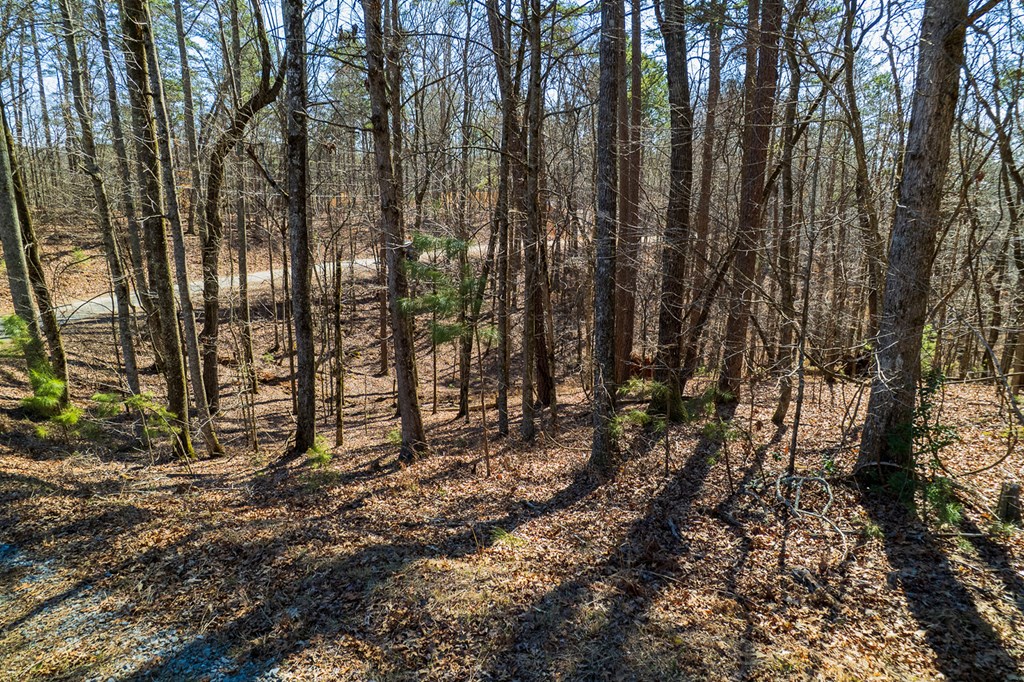 Lot 686 Julep Circle