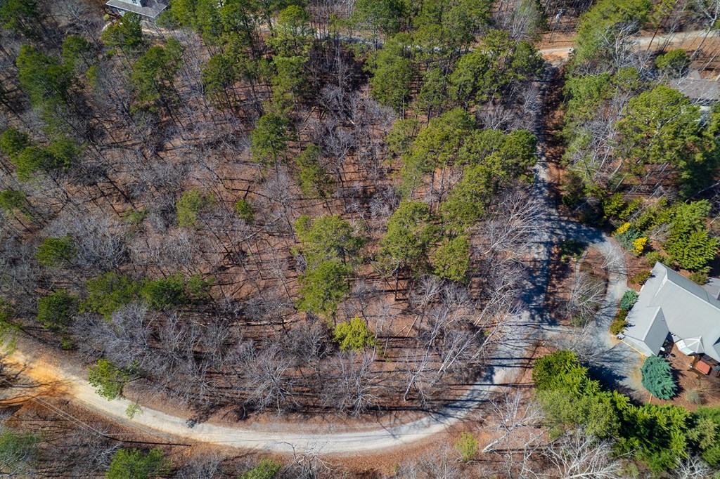 Lot 686 Julep Circle