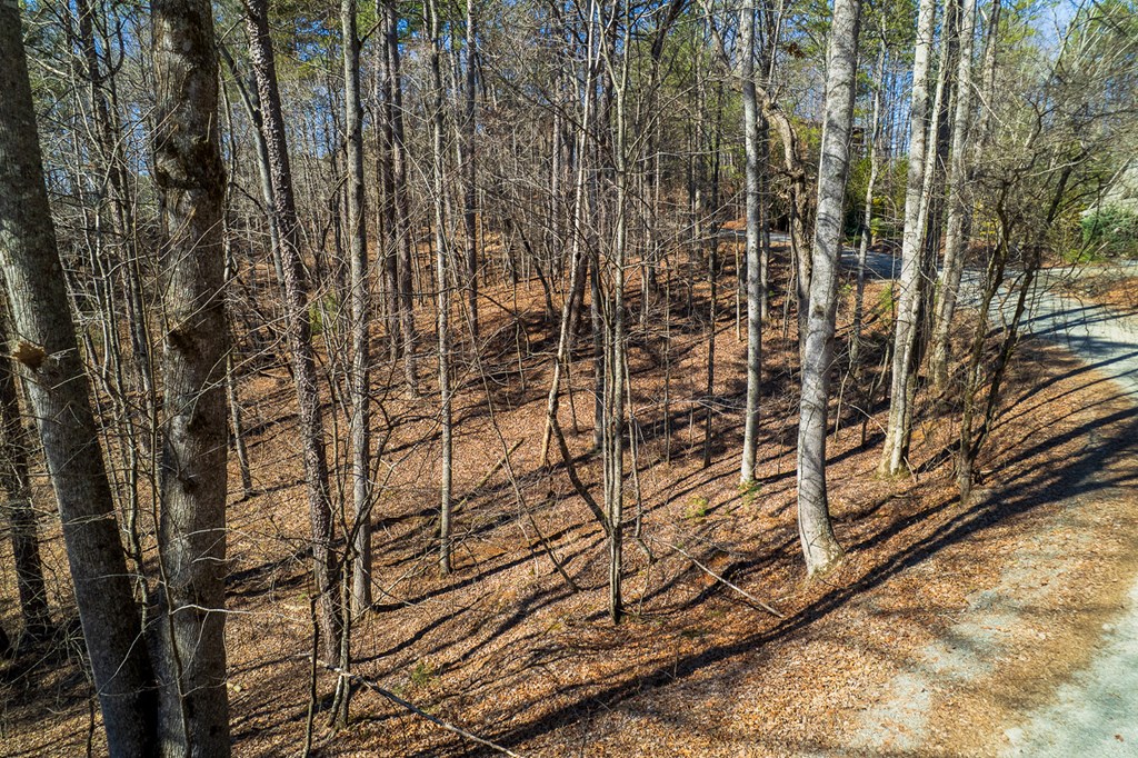 Lot 686 Julep Circle