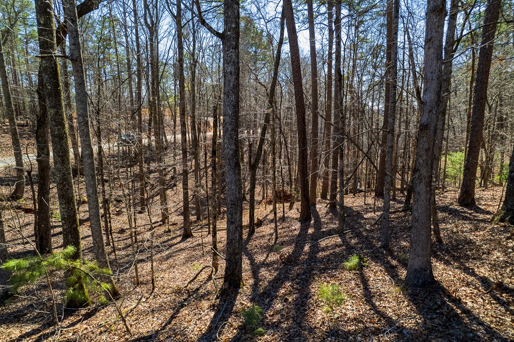 Lot 686 Julep Circle