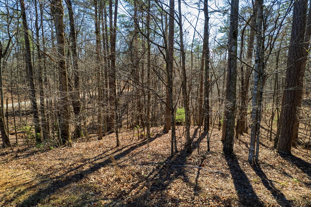 Lot 686 Julep Circle