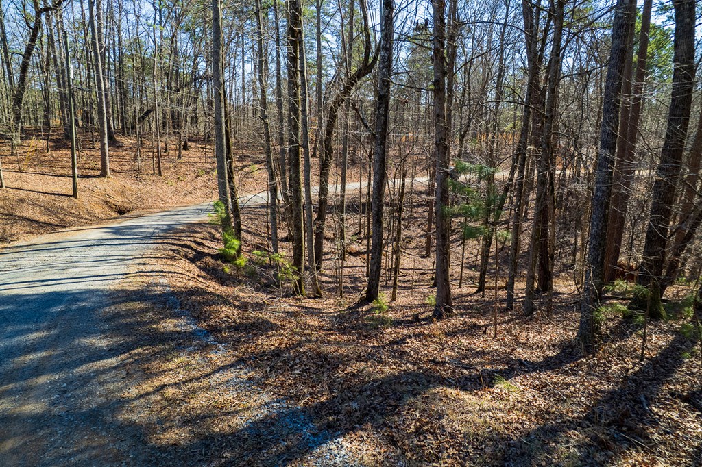 Lot 686 Julep Circle