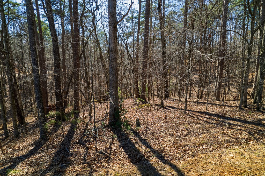 Lot 686 Julep Circle