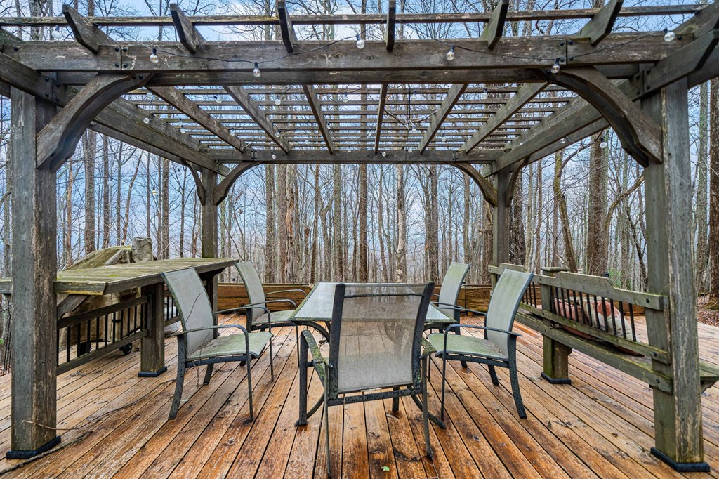 541 Little Bushy Head Road