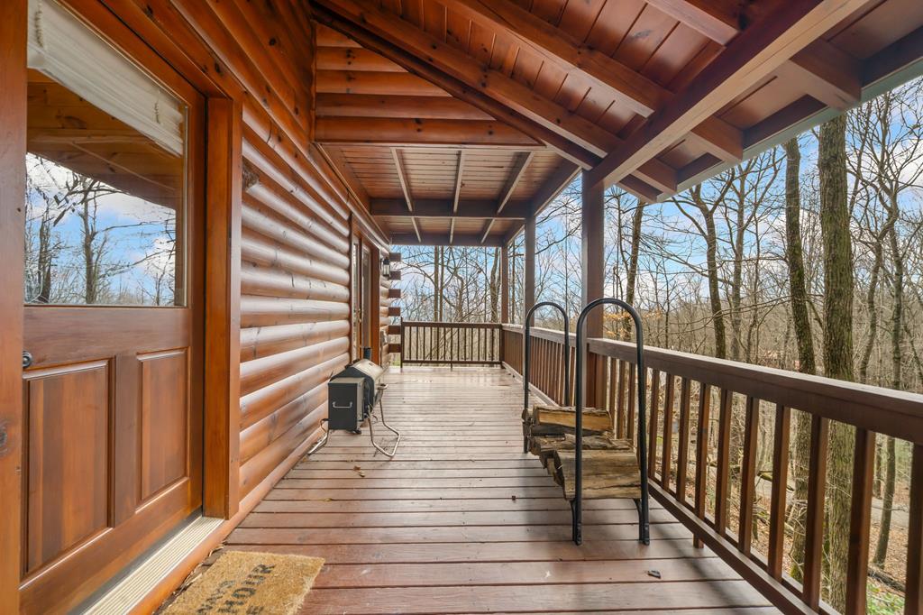 541 Little Bushy Head Road