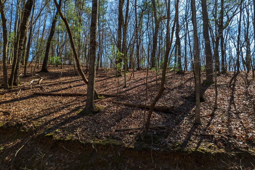 66 Mountainside Court