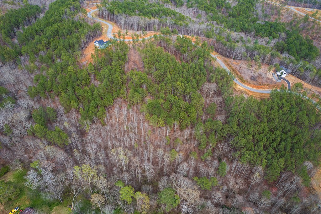 Lot 112 Blalock Mountain Road