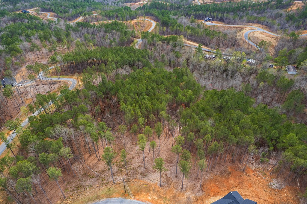 Lot 112 Blalock Mountain Road