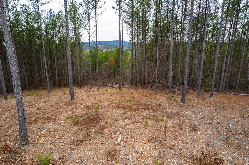 Lot 112 Blalock Mountain Road