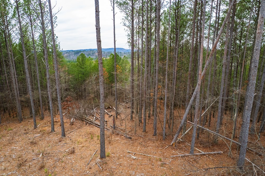 Lot 112 Blalock Mountain Road